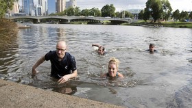 Berenang Bersama Sang Jawara Australia
