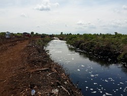 Sekat Kanal Gambut Bisa Tekan Risiko Karhutla, Ini Cara Kerjanya