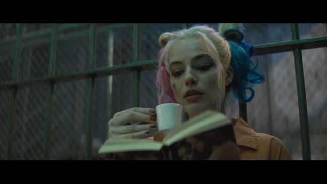 Sang komikus "memiliki banyak prasangka" dan "merasa bias" setelah menonton film yang dibintangi oleh Will Smith, Margot Robbie dan Jared Leto itu.