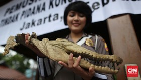 Perdagangan Satwa Marak, Menteri Siti Tambah Sanksi Pidana