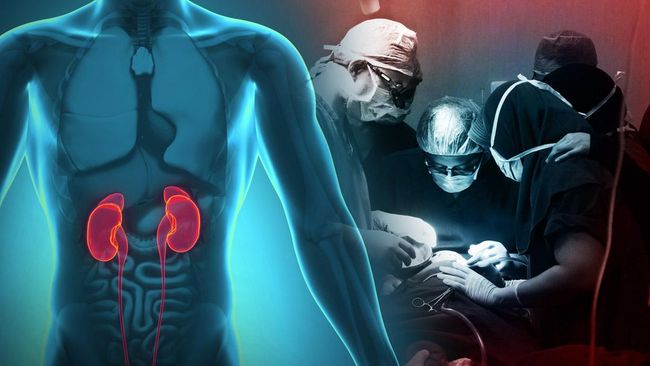 Data Kementerian Kesehatan menyebutkan sebanyak 0,4 persen masyarakat yang tidak mengenyam pendidikan menjadi kelompok pengidap gagal ginjal tertinggi.