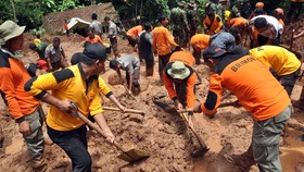 BNPB: Bencana Alam di 290 Kota Tewaskan 45 Orang