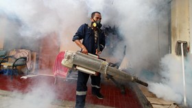 Fogging Tak Mampu Berantas Semua Jenis Nyamuk