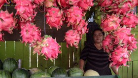 7 Efek Menakjubkan Makan Buah Naga Setiap Hari