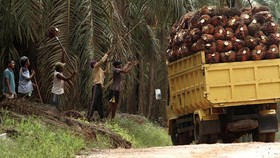 Anggota DPR dari PDIP Jadi Tersangka Penipuan Bisnis Sawit