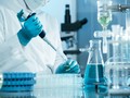 Peneliti Jepang Uji Organ Hewan Berisi Sel Manusia