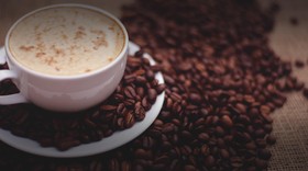 Memahami 5 Perbedaan Kopi Arabika dan Kopi Robusta