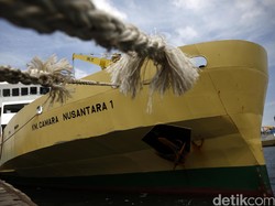 Kapal Ternak Tetap Operasi, Jangan Khawatir Pasokan Sapi Seret