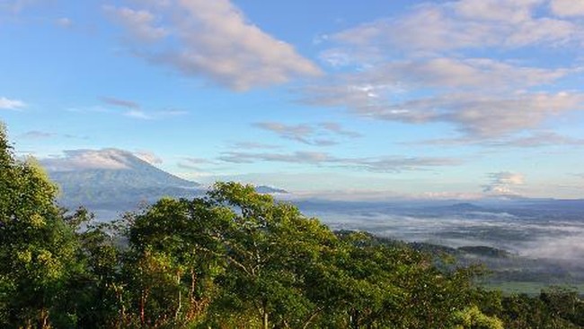 Jalur pendakian Pos 3 Gunung Sumbing kini dipasangi kawat berduri untuk melindungi area sabana. Pengelola mengimbau pendaki jaga kebersihan dan keselamatan.