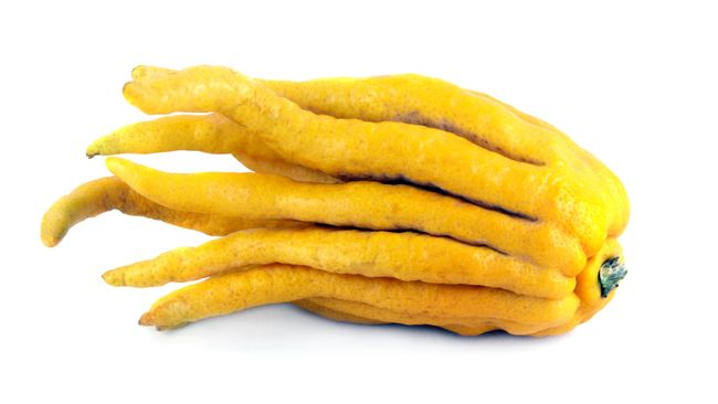 Tidak semua makanan memiliki tampilan yang menarik untuk diabadikan kamera dan diunggah ke media sosial. Apa saja?