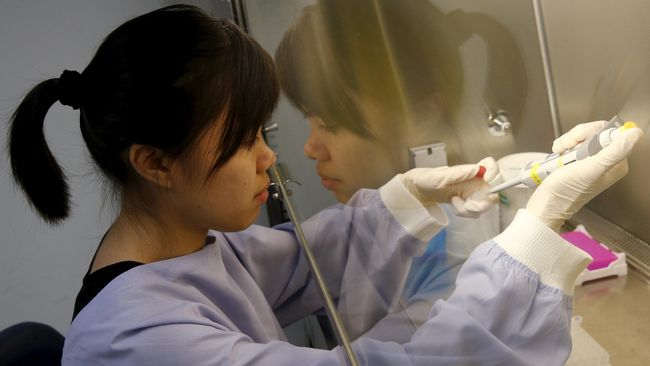 Virus zika dan ebola sama-sama dilabeli sebagai status darurat oleh WHO. Hanya saja para dokter menemukan beberapa perbedaan antara keduanya.
