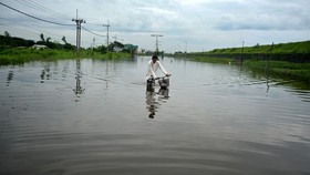 Jalan Trans Sulawesi Palu-Tolitoli Putus Akibat Banjir