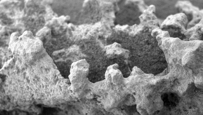 Kendaraan robot Spirit di Mars mengambil gambar batu yang mirip kembang kol. Ada ilmuwan berpendapat formasi batu itu mirip dengan yang ada di Chile.