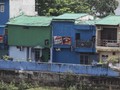 Rencana Penghijauan, Warga Kalijodo Bilang Pohon Sulit Tumbuh