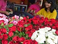 5 Tradisi Unik Valentine dari Penjuru Dunia