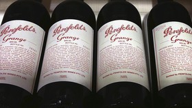 Label 'Sesat' Buat Toko Wine Italia Nyaris Tutup
