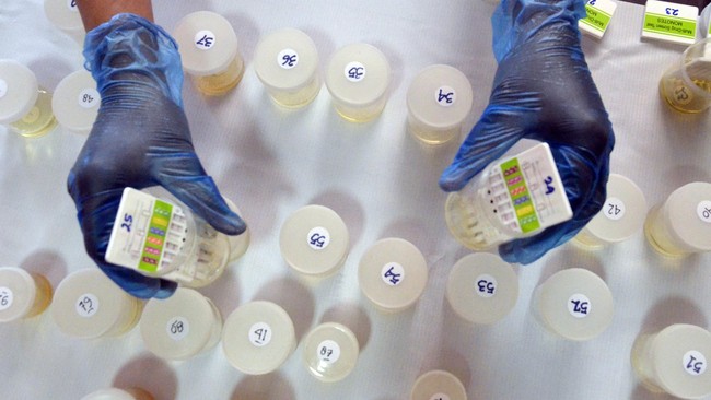 Gubernur Sultra mempersiapkan regulasi sebagai payung hukum tes urine calon pengantin menindaklanjuti MoU antara BNN Provinsi Sultra dan Kanwil Kemenag Sultra.