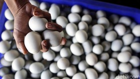 Meramu Alternatif Bahan Tambal Gigi dari Limbah Kulit Telur