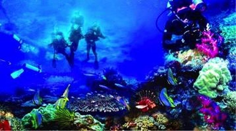 Apakah Anda pernah membayangkan berenang ke dunia