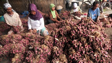 Harga Daging-Bawang Merah Naik Pekan Ini, Telur Turun