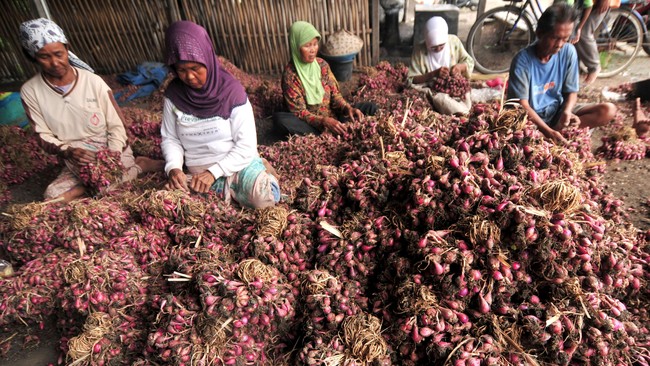 Harga pangan utama terpantau bergerak bervariasi pada Senin (28/10). Sejumlah komoditas  yang makin mahal di antaranya telur ayam, bawang putih, daging ayam.