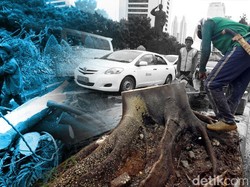 Angkot di Takalar Sulsel Tertimpa Pohon Tumbang, Sopir Tewas di Tempat