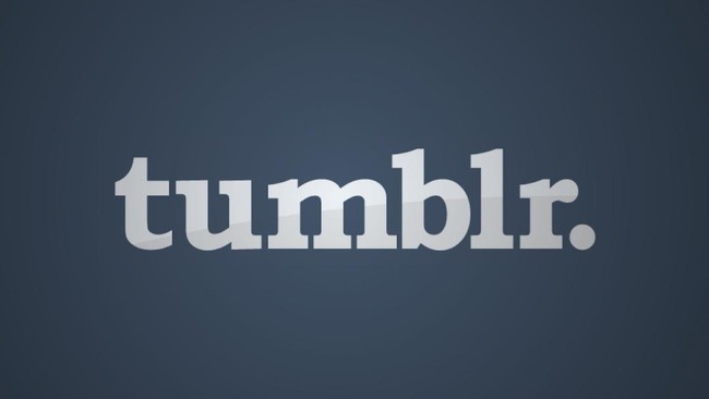 Pengguna menyayangkan sikap pemerintah yang memblokir Tumblr, padahal manfaat yang diberikan justru lebih banyak dari anggapan pemerintah.