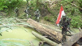 Kronologi Baku Tembak TNI-KKB di Papua Tewaskan Satu Anggota