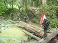 Kronologi Baku Tembak TNI-KKB di Papua Tewaskan Satu Anggota