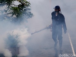 Pertempuran Melawan DBD di Ciamis