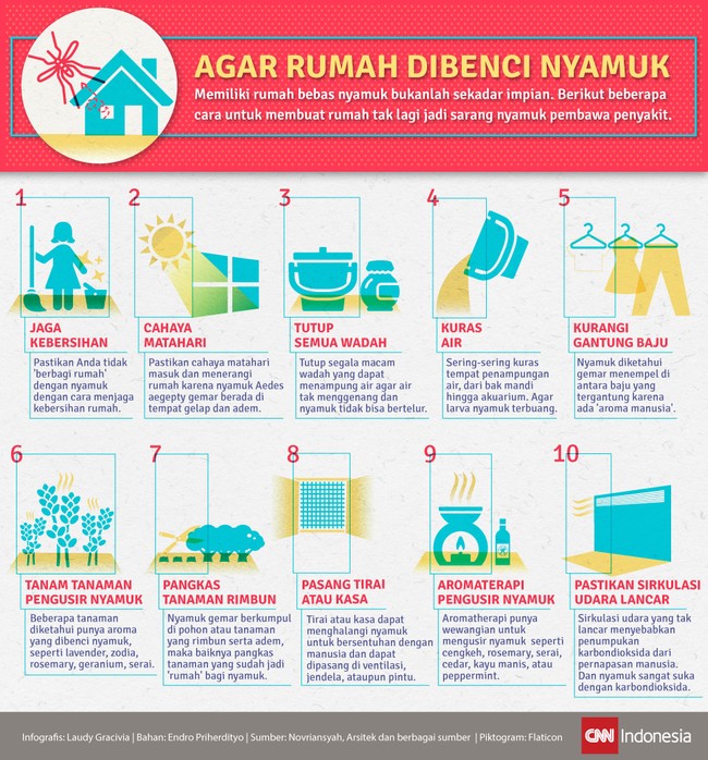 Memiliki rumah bebas nyamuk bukanlah sekadar impian. Berikut beberapa cara untuk membuat rumah tak lagi jadi sarang nyamuk pembawa penyakit.