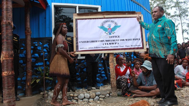 Luhut menyebut Fiji dan Papua Nugini mendukung peningkatan status Indonesia di Melanesian Spearhead Gorup yang jadi basis kampanye Pembebasan Papua.