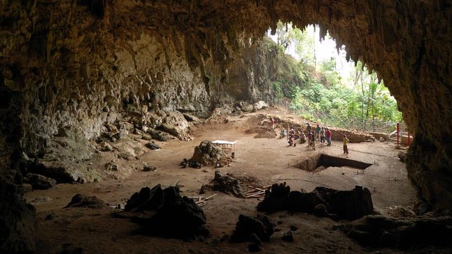 Gua Liang Bua di Flores Gua Liang Bua di Flores, tempat penemuan fosil Manusia Hobbit atau disebut juga Manusia Flores. (Dok. wikimedia.commons.org/Flickr/Rosino)