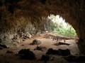 Ahli Beberkan Misteri Hobbit Asal Flores, Homo Floresiensis