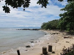 Pandeglang Bebaskan Kawasan Pantai Jadi Industri Tambak Udang