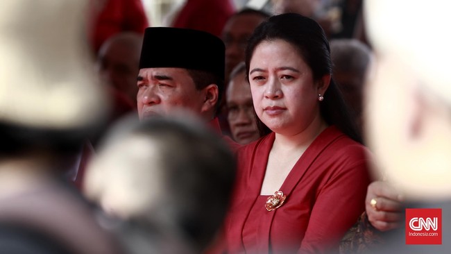 Puan meminta BPBD tetap siap siaga di Tolikara dan melakukan langkah yang perlu dilakukan. Selain itu juga berkoordinasi ke pusat.