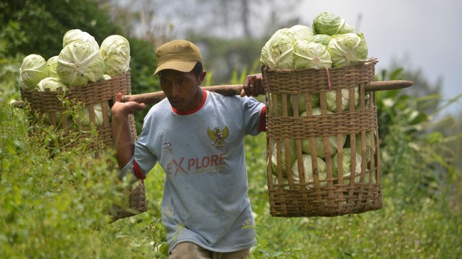 Saat ini, pembebasan pungutan PPN baru berlaku untuk 10 komoditas. Pungutan PPN cenderung membuat industri agro tak terdongkrak daya saingnya.