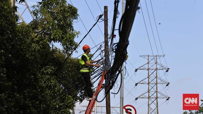 Selain akan mengurangi potensi pemadam, upaya ini juga dimaksudkan demi menekan beban usaha PLN.