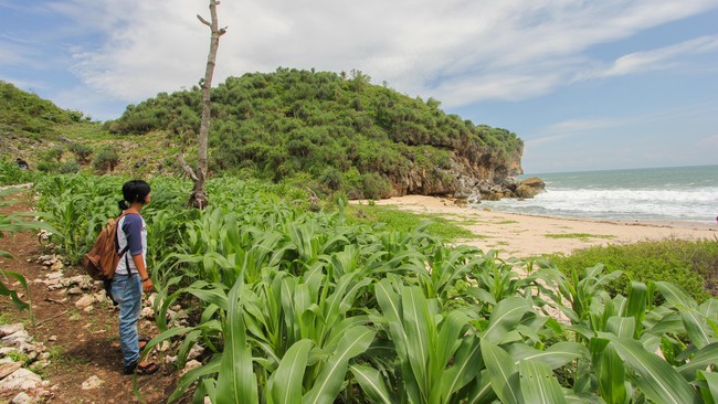 Pantai Indah yang Tersembunyi di Gunung Kidul