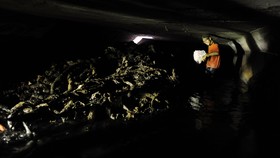 Polda Metro Bantu Pemprov DKI Cari Pelaku Penyumbat Drainase