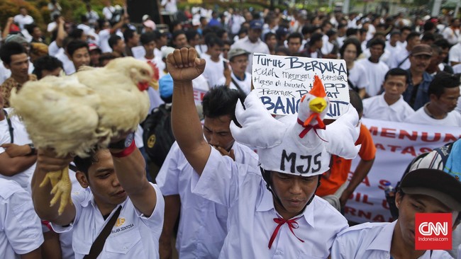 Instruksi apkir dini PS yang dikeluarkan Dirjen Peternakan dan Kesehatan Hewan Kementerian Pertanian didasarkan atas kondisi peternak yang terus merugi.