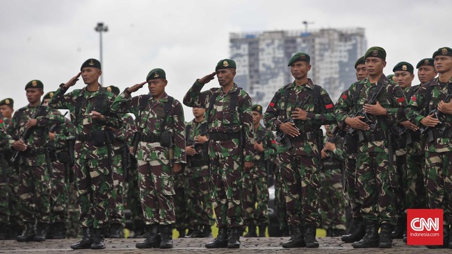Komnas HAM dan Lemhanas menyebut solusi kelebihan perwira adalah dengan pensiunnya perwira tinggi TNI yang hendak masuk jabatan sipil.
