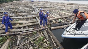 Setop Penjualan Kayu Ilegal, KLHK Perkuat SVLK