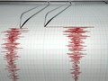 Gempa 5,6 SR Guncang Jayapura, Tak Ada Potensi Tsunami