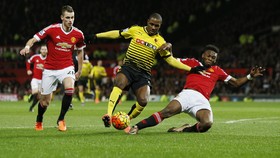 Van Gaal Klaim Temukan Schweinsteiger Baru