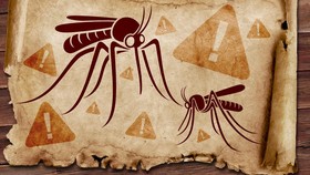 Tujuh Dekade Virus Zika