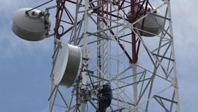 Riset OpenSignal Beberkan Kualitas Operator Seluler di RI