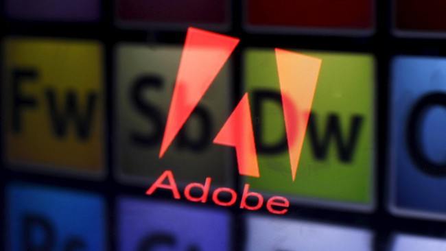 Adobe Systems meminta pengguna Windows, Mac, Linux, dan Chrome, untuk memperbarui peranti lunak Flash mereka karena terindikasi virus penyandera dokumen.