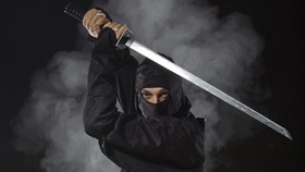 Genichi Mitsuhashi, 'Sarjana' Pertama Program Studi Ninja