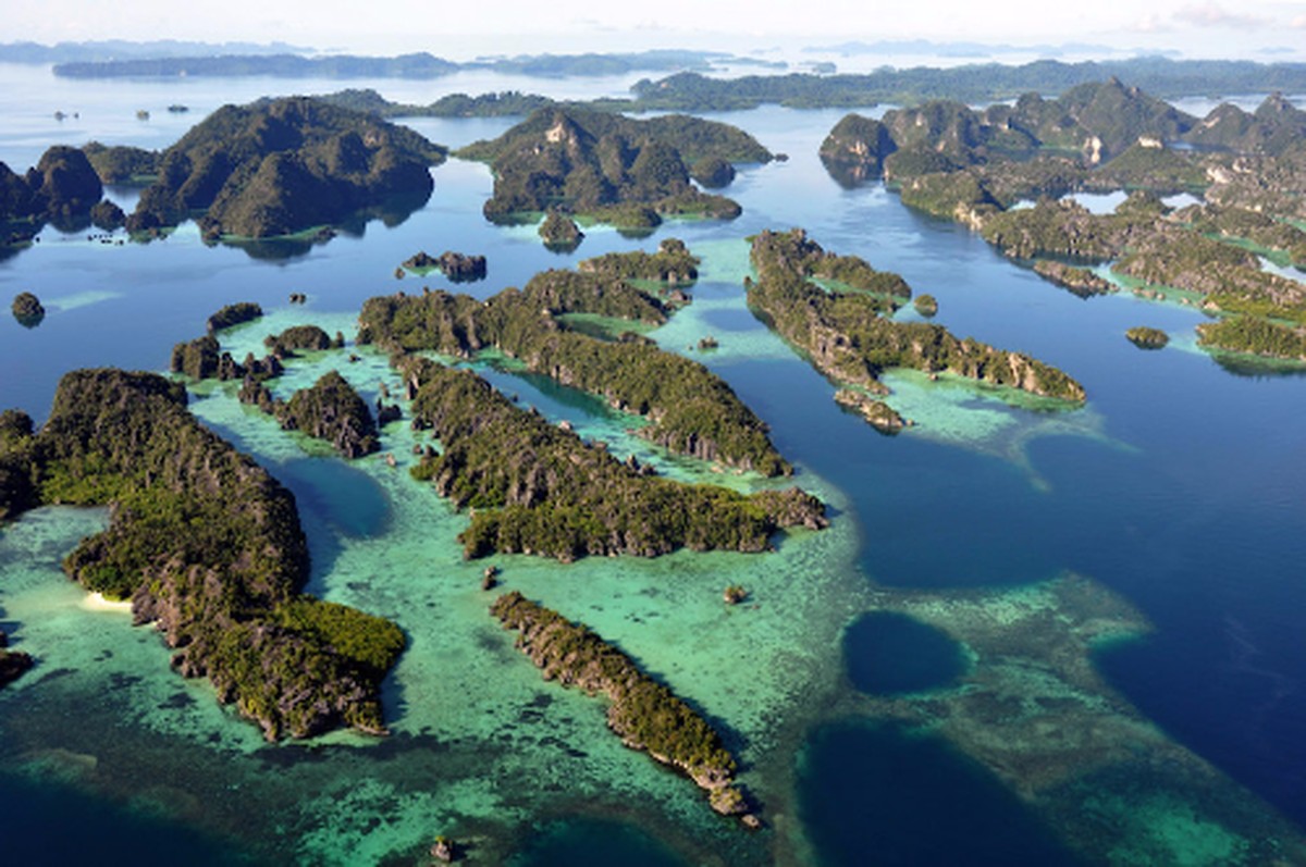 Cara Memantau Kesehatan Karang di Dasar Laut